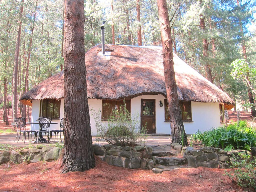 Giantscup Wilderness Reserve 언더버그 외부 사진
