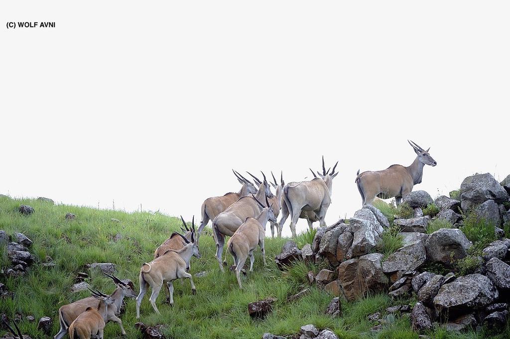 Giantscup Wilderness Reserve 언더버그 외부 사진
